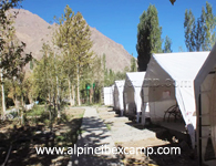 Alpine Ibex Camp Nubra Exterior