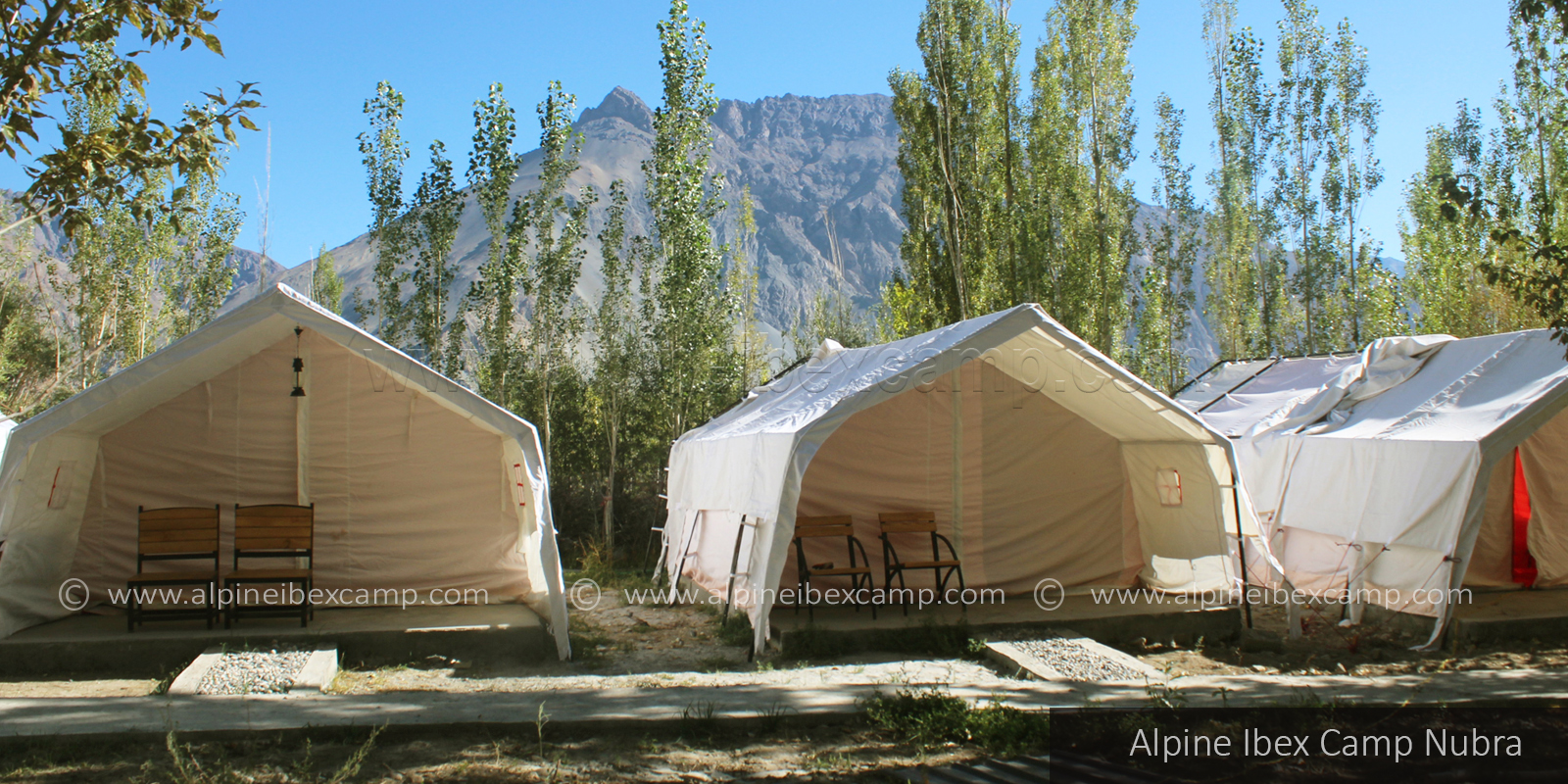 Alpine Ibex Camp Nubra Valley