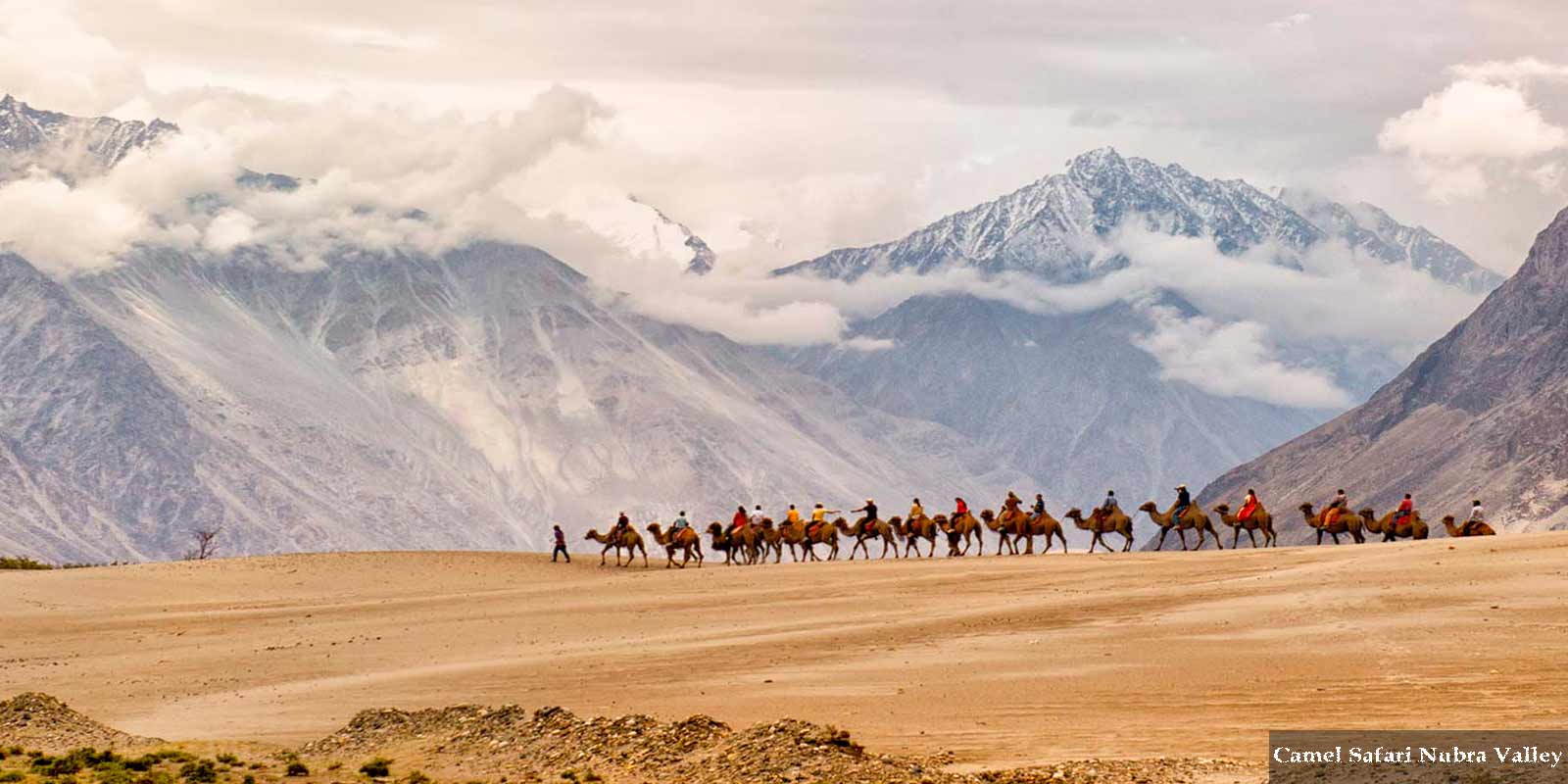 Camel Safari Nubra Valley 