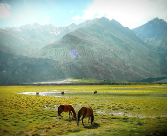 Nubra Valley Sightseeing