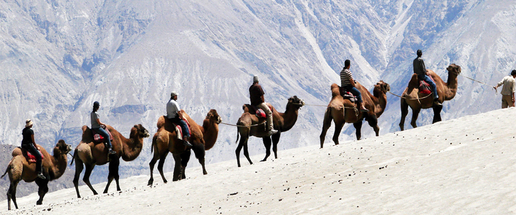 Things to do in Nubra Valley